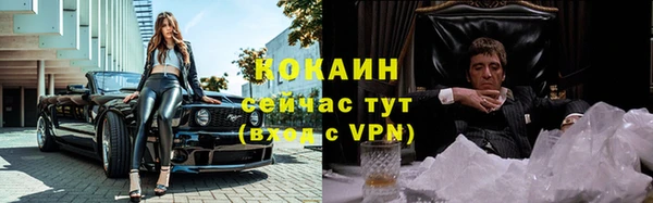 мдпв Гусев