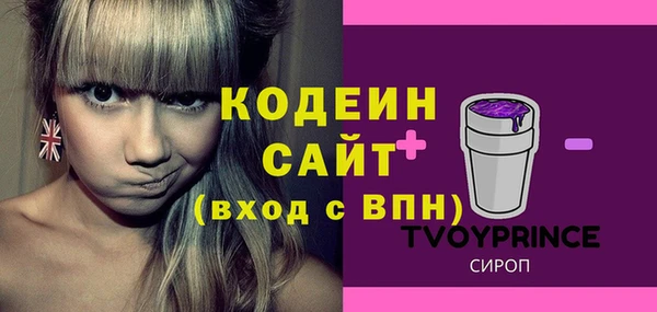 мдпв Гусев