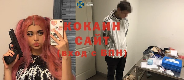 шишки Гусиноозёрск
