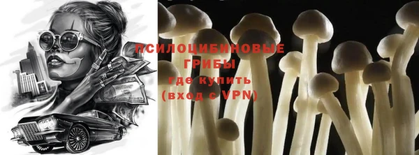 шишки Гусиноозёрск