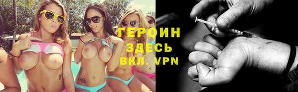 мдпв Гусев