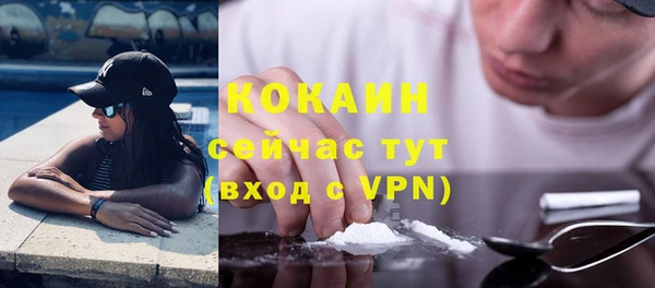 мдпв Гусев