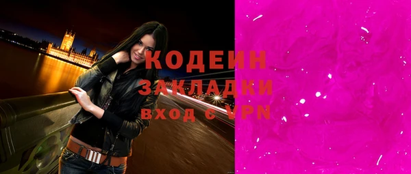 шишки Гусиноозёрск