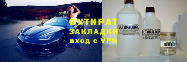 шишки Гусиноозёрск