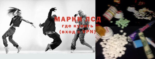 шишки Гусиноозёрск
