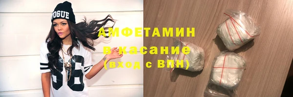 шишки Гусиноозёрск