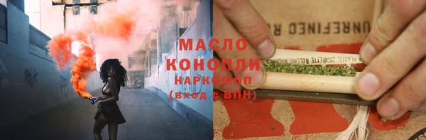 мдпв Гусев