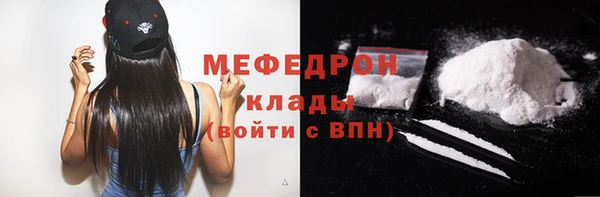 шишки Гусиноозёрск
