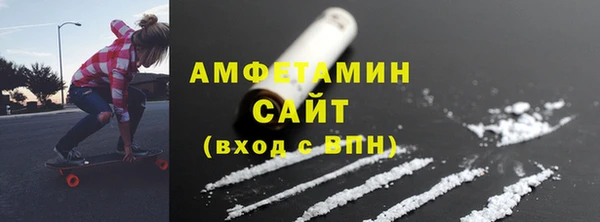 шишки Гусиноозёрск
