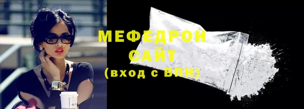 мдпв Гусев