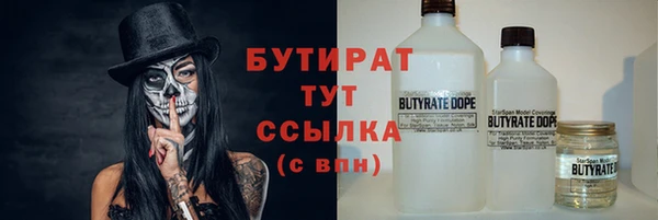 мдпв Гусев