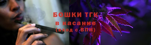 шишки Гусиноозёрск
