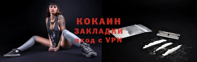 индика Дмитровск