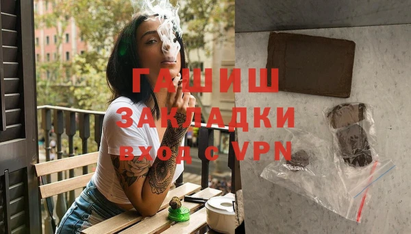 мдпв Гусев