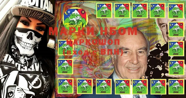 мдпв Гусев