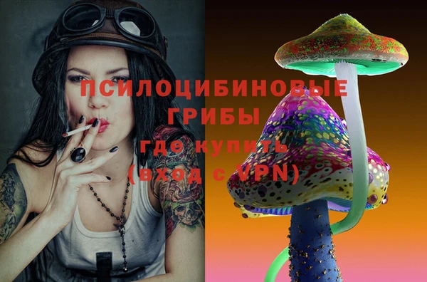 шишки Гусиноозёрск