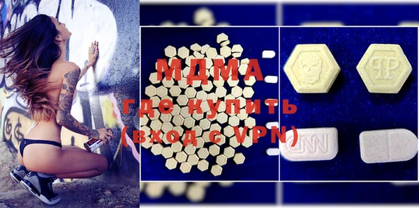 мдпв Гусев