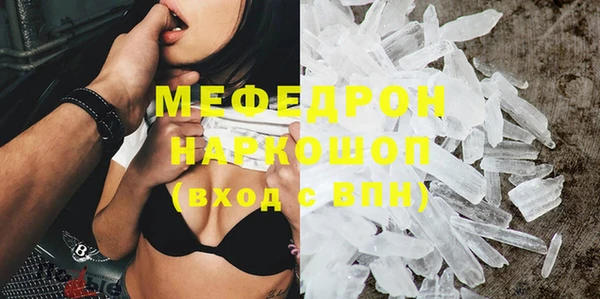 мдпв Гусев