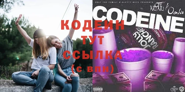 spice Гусь-Хрустальный