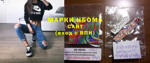 шишки Гусиноозёрск