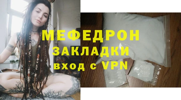 шишки Гусиноозёрск