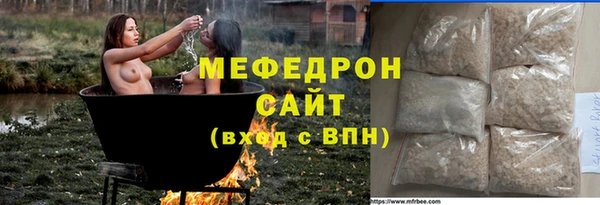мдпв Гусев
