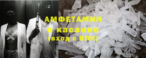 шишки Гусиноозёрск